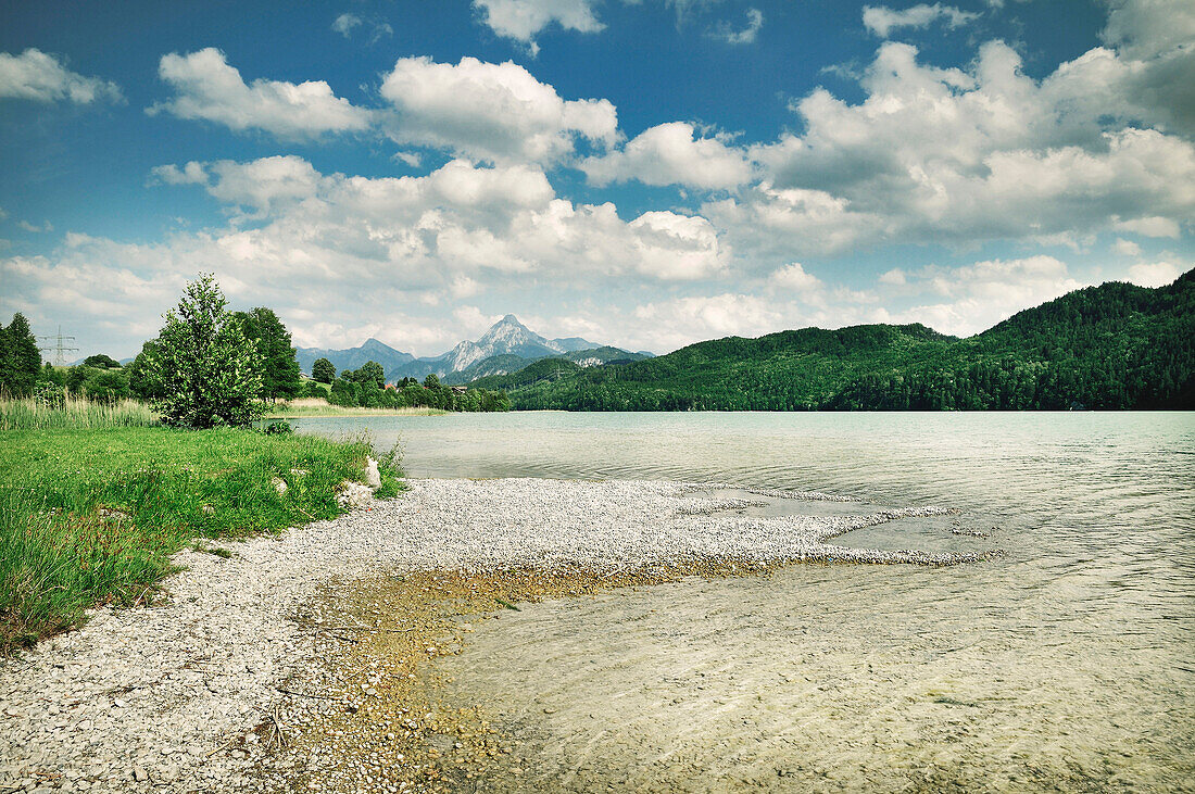 Lake shore at lake Weißensee, view towards mountains, Fuessen, Allgaeu, Bavaria, Germany