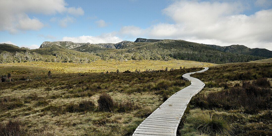 Wanderweg durch Tasmanische Wildnis, Berge, Start des Overland Track, Cradle Mountain Lake St Clair Nationalpark, Tasmanien, Australien