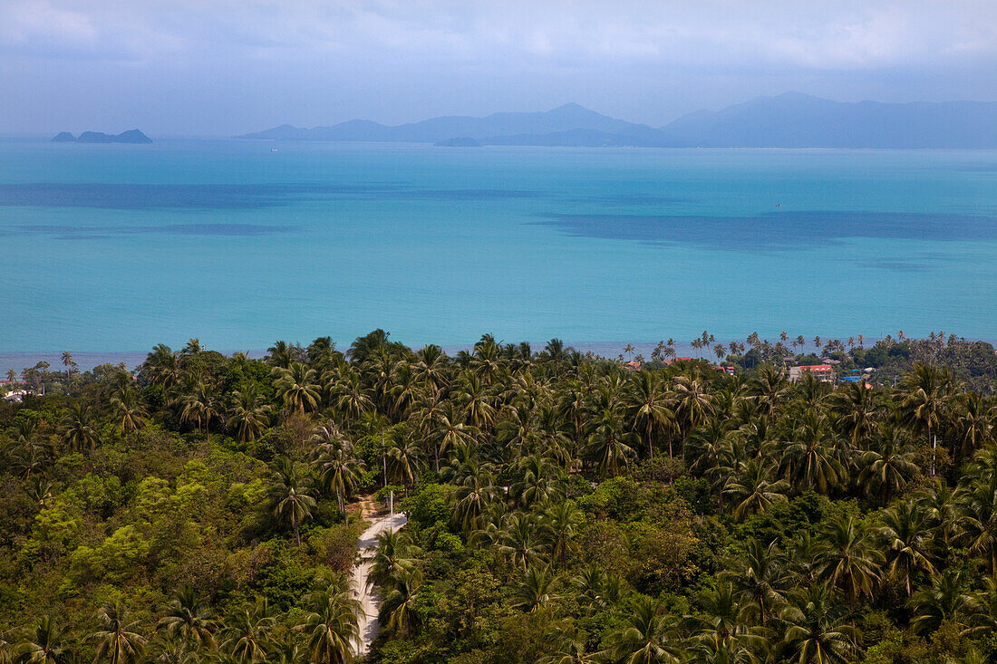 Palmenwald an der Nordküste der Insel Koh Samui mit Blick auf die Insel Koh Phangan, Provinz Surathani, Thailand, Asien