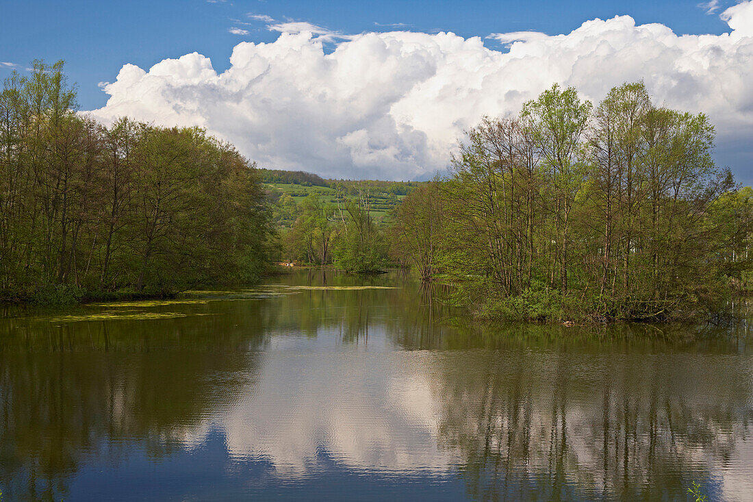 Pond at Bliesbruck-Reinheim European Culture Park, Bliesgau, Saarland, Germany, Europe