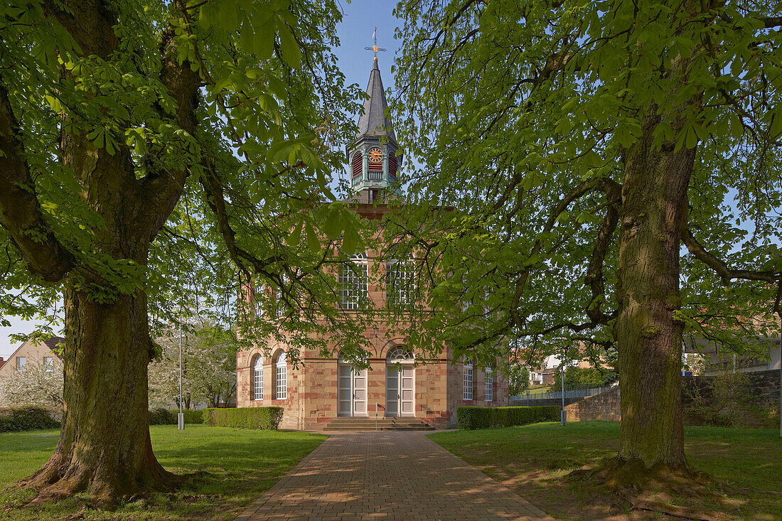 Blick auf evangelische Kirche hinter Bäumen, Bischmisheim, Saarland, Deutschland, Europa