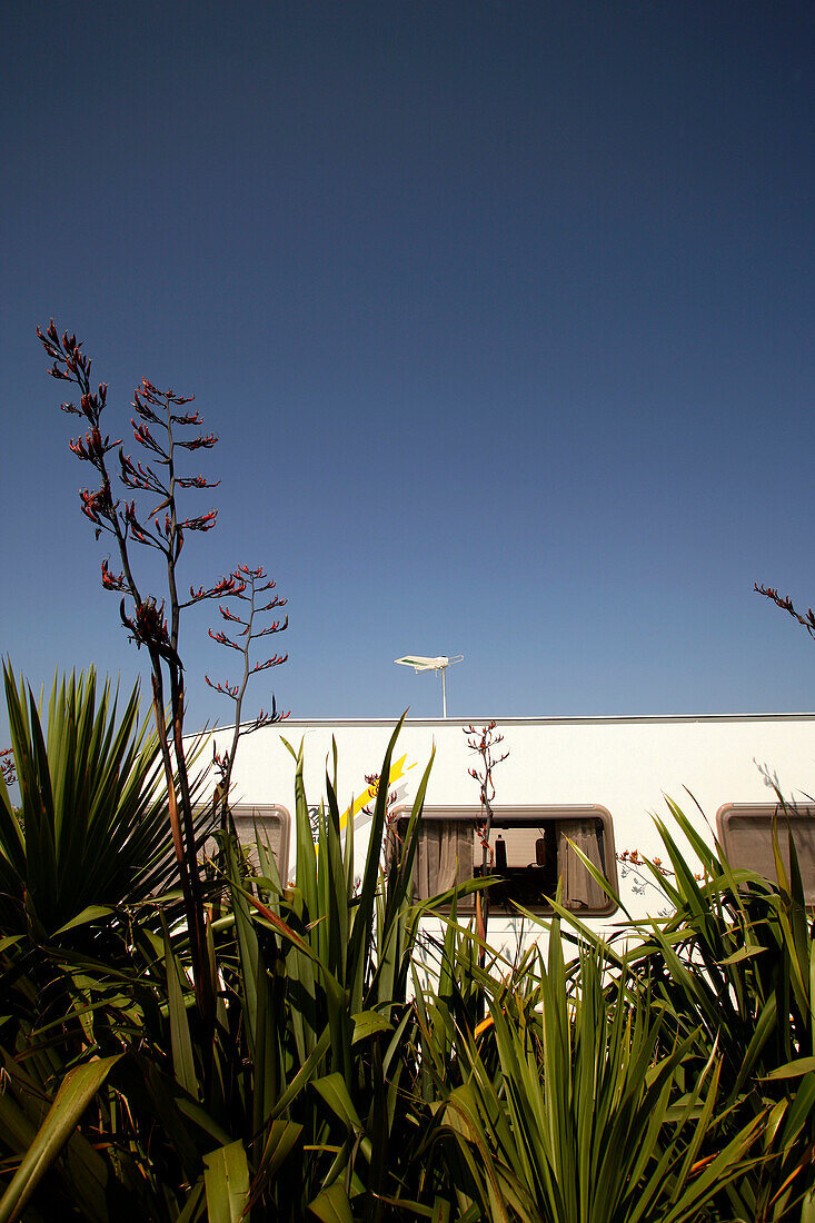 Campervan and vegetation, Le Rozel, Manche, Normandy, France