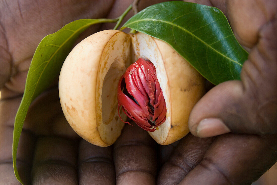 Spices, Grenada