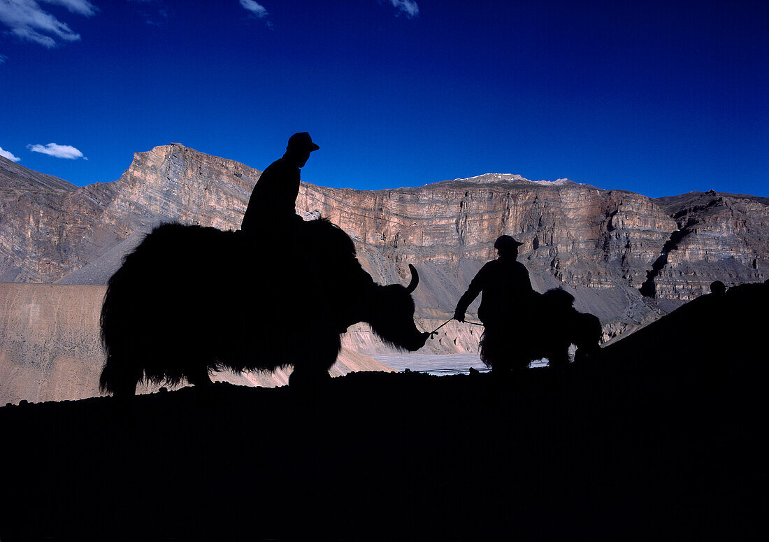 Silhouette of yak herders, Spiti, Himachal Pradesh, India