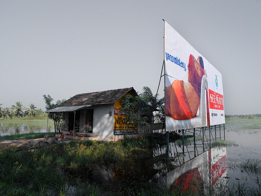 Billboard by rice paddies, Kerala, South India