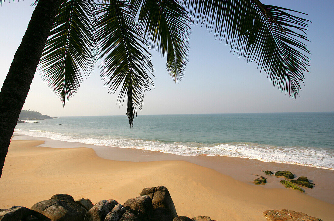 Palms on deserted beach on the Malabar Coast, Malabar Coast of Kerala, India.