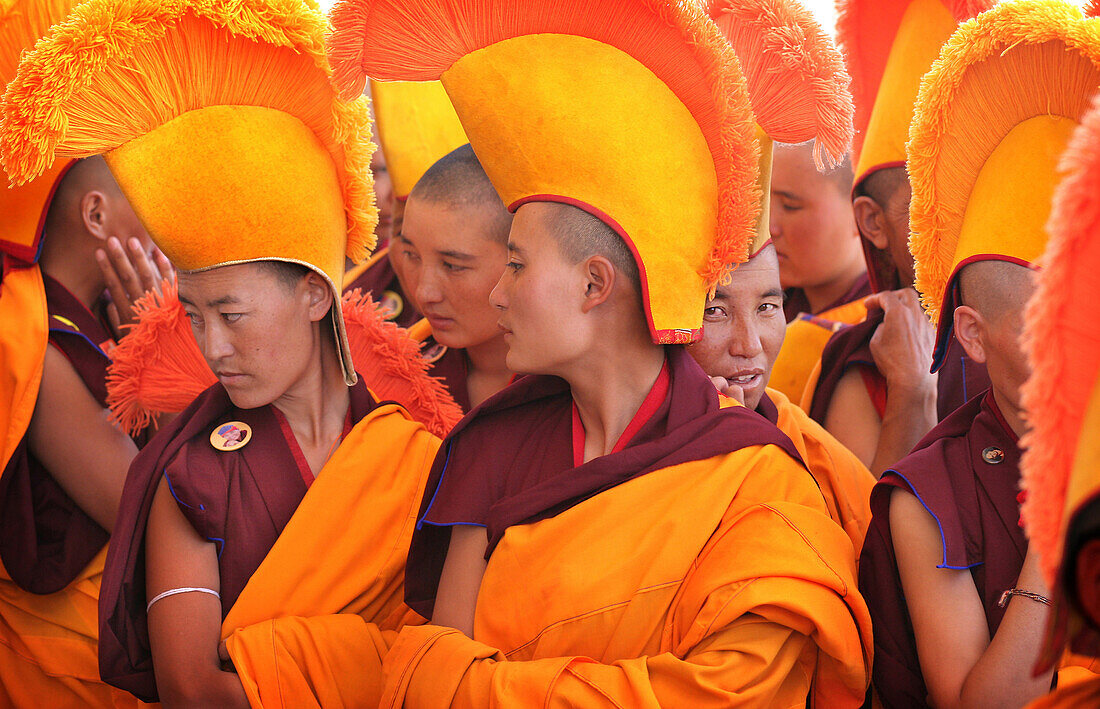 Nuns / monks in traditional dress with yellow orange hats and robes praying at 800 year old birthday celebration / rituals of the Buddhist Drukpa Lineage, Naro Photang Shey, (Shey Monastery), Leh Ladakh, Indian Himalayas, India
