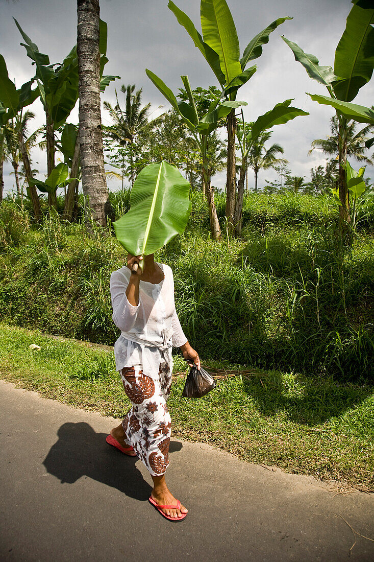 Woman shading head with leaf, Ubud, Bali, Indonesia