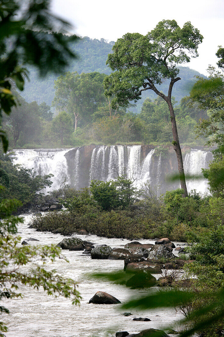Waterfall and trees at Tat Lo, Champasak Province, Laos