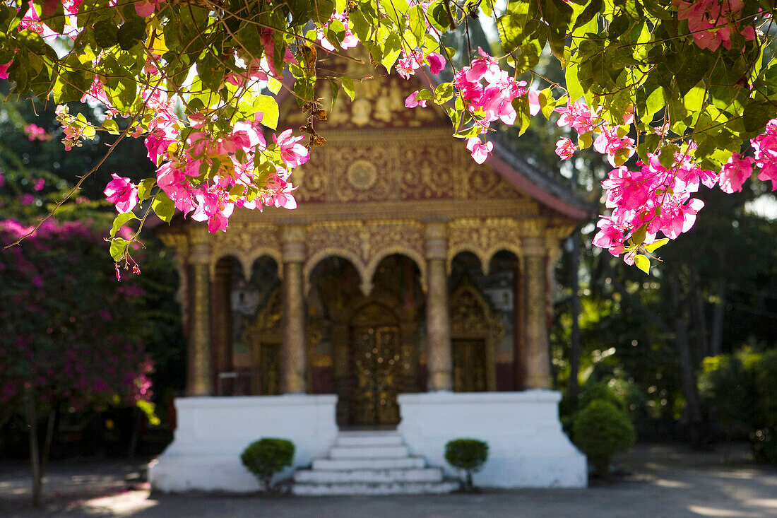 Golden temple, Wat Pa Phai, Luang Prabang, Laos.
