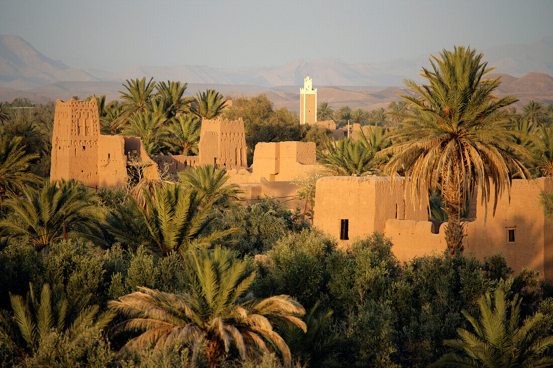 Rooftops of kasbah in Skoura Oasis, Dades Valley, Morocco