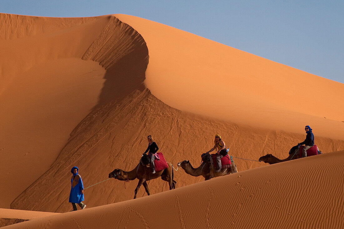 'Tourists on came trek in the Erg Chebbi area of the Sahara Desert near Merzouga, Morocco.&#13;&#10;'