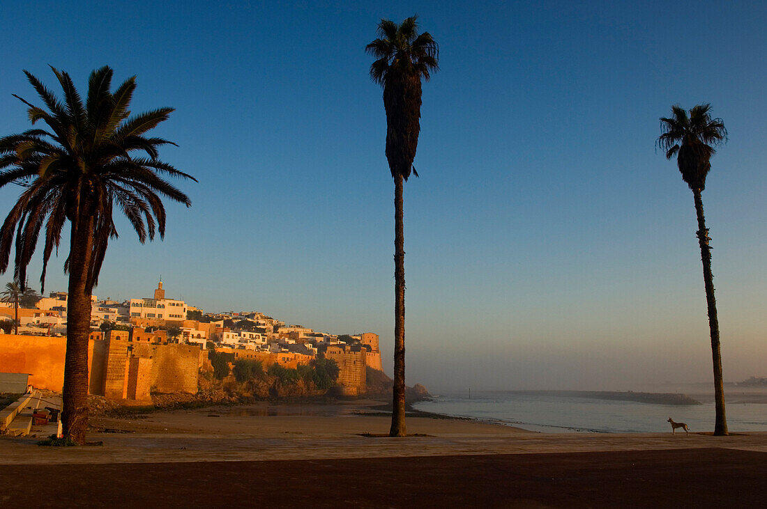 Kasbah des Oudaias, Rabat, Morocco