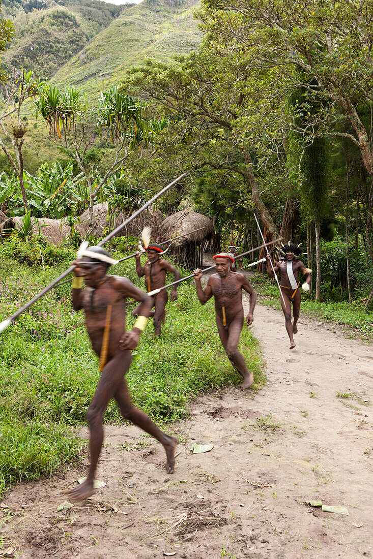 Warrior of Dani Tribe, Baliem Valley, West Papua, Indonesia