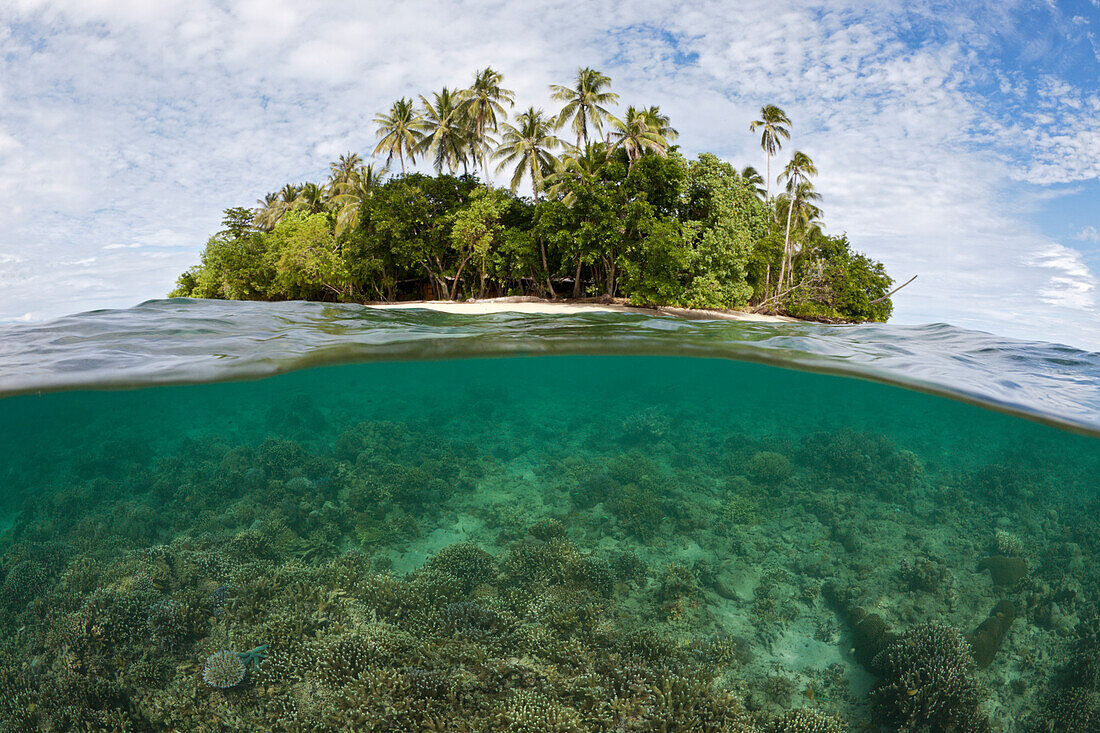 Schnorcheln in der Lagune von Ahe, Cenderawasih Bucht, West Papua, Papua Neuguinea, Neuguinea, Ozeanien