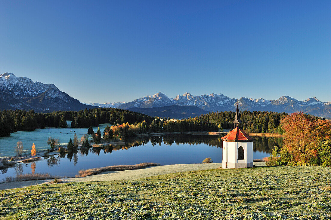 Kapelle und See mit Blick auf Ammergauer Alpen und Tannheimer Berge bei Sonnenaufgang, Forggensee, Allgäu, Allgäuer Alpen, Schwaben, Bayern, Deutschland, Europa