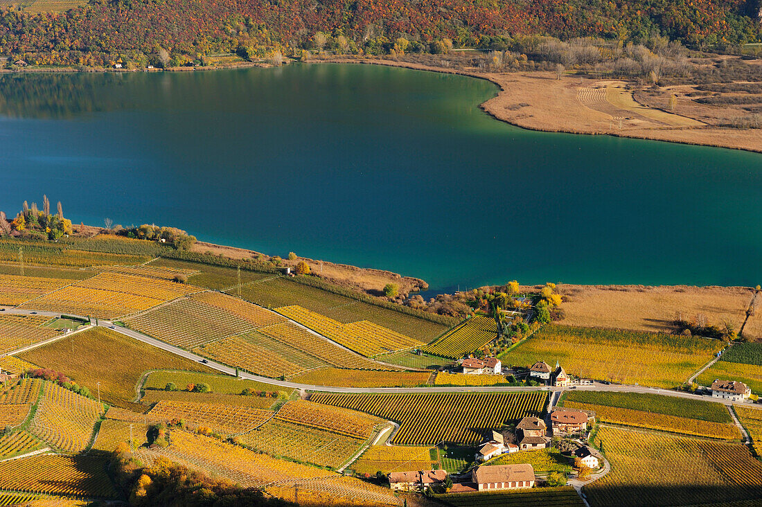 Blick auf Kalterer See mit herbstlich verfärbten Weinbergen, Kalterer See, Südtirol, Italien, Europa