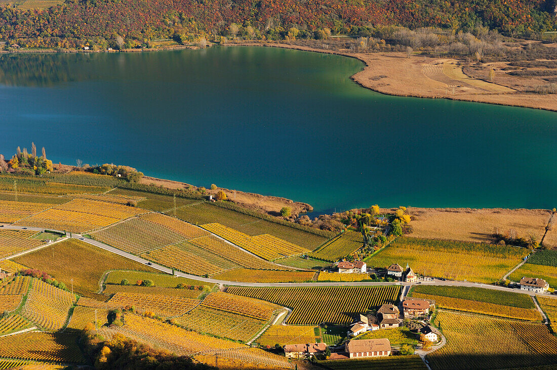 View to lake Kalterer See with vineyards in autumn colours, lake Kalterer See, South Tyrol, Italy, Europe