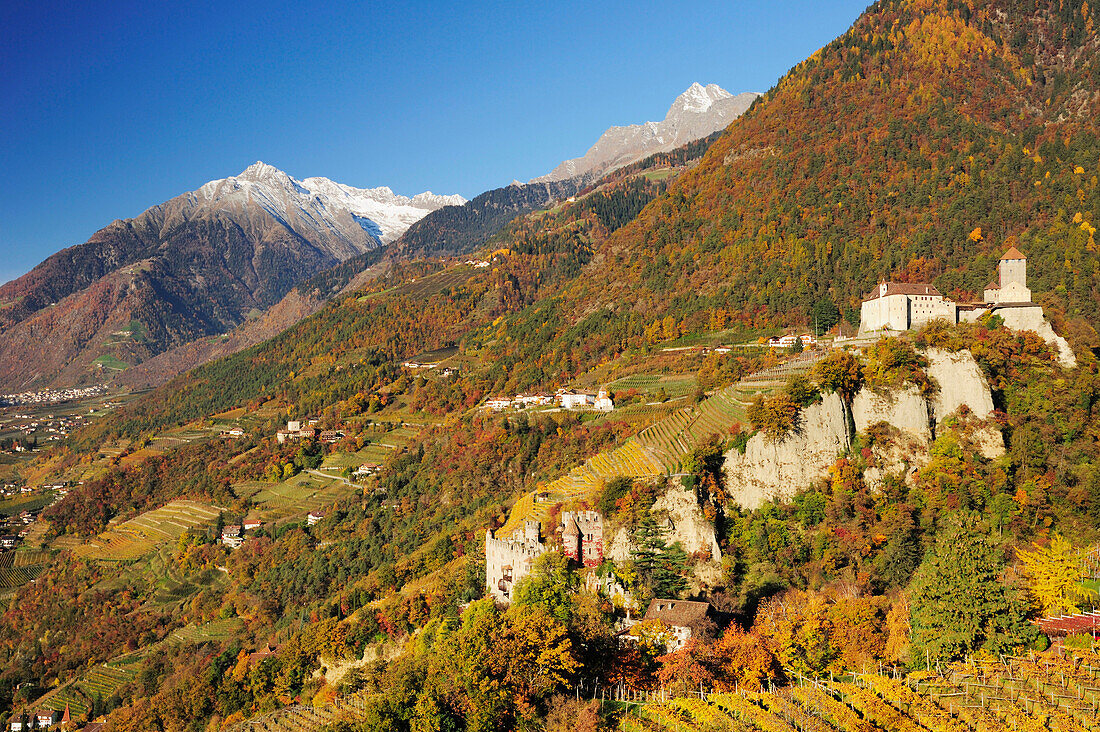 Schloss Tirol mit herbstlich verfärbten Bergen und Texelgruppe im Hintergrund, Schloss Tirol, Meran, Südtirol, Italien, Europa