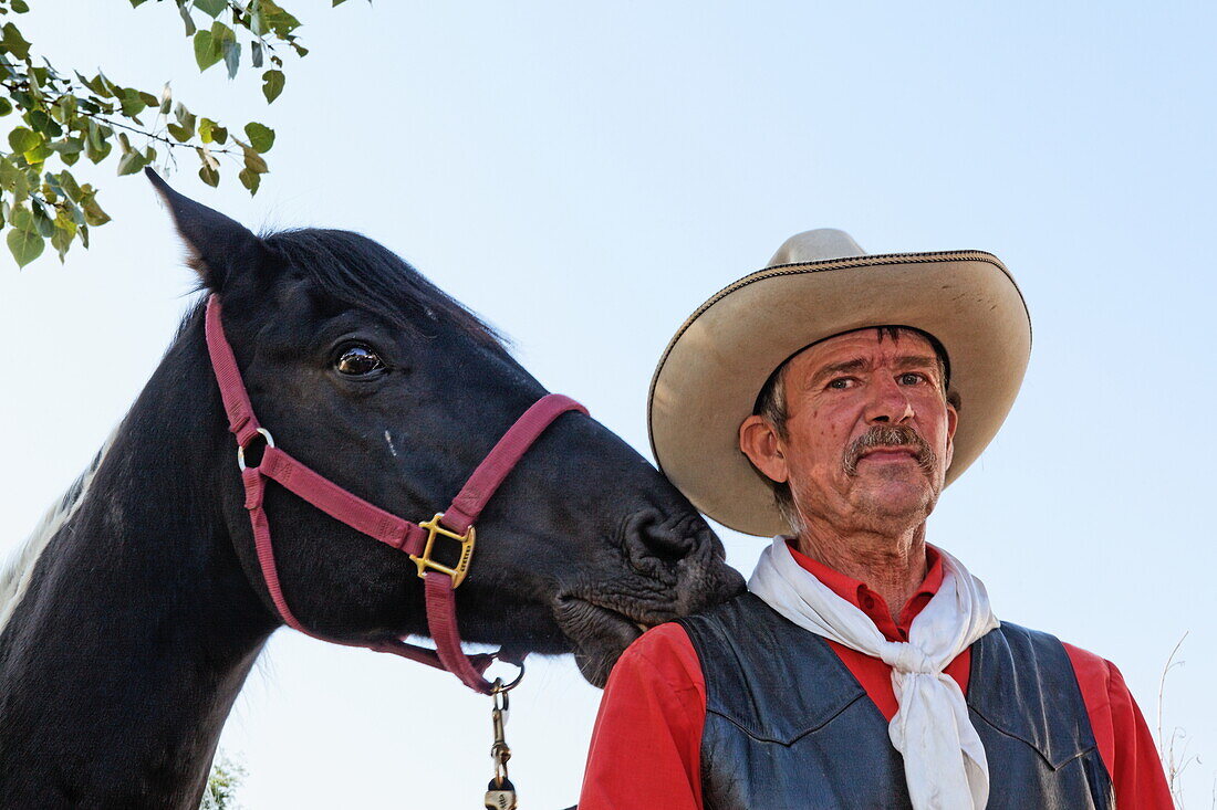Cowboy with horse, Medora, North Dakota, USA