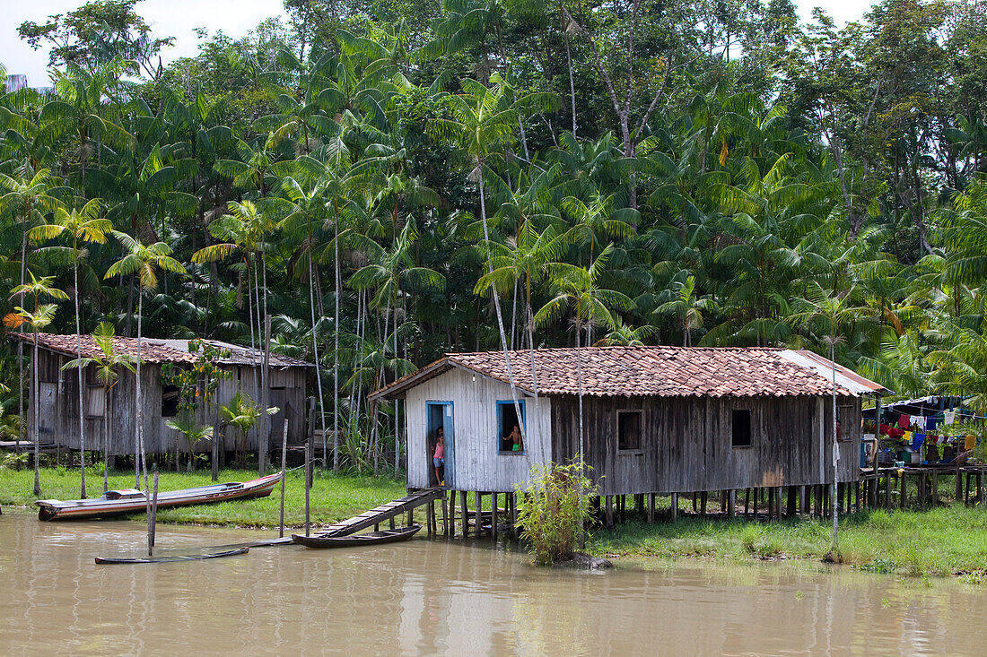Häuser am Ufer der Insel Combu an einem Seitenarm vom Fluss Amazonas, nahe Belem, Para, Brasilien, Südamerika