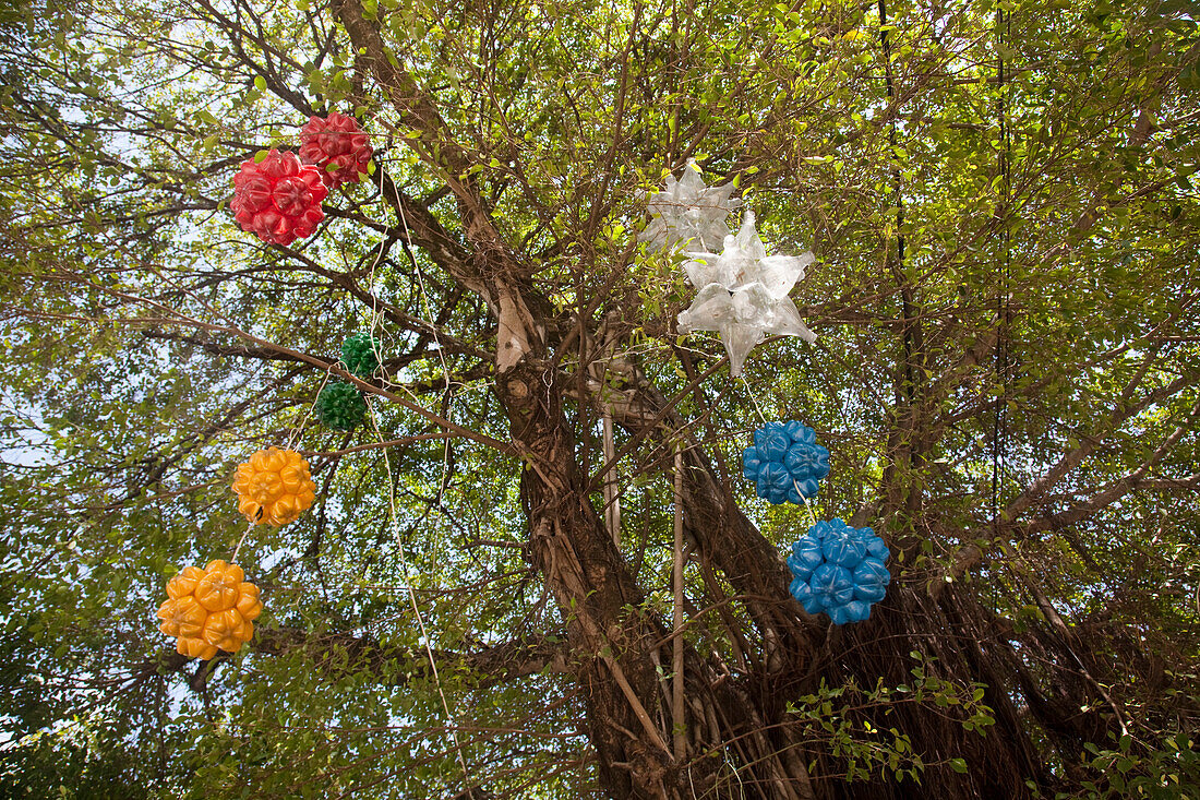 Weihnachtsdekoration aus Recycling Plastikflaschen hängen in einem Baum, Olinda, nahe Recife, Penambuco, Brasilien, Südamerika