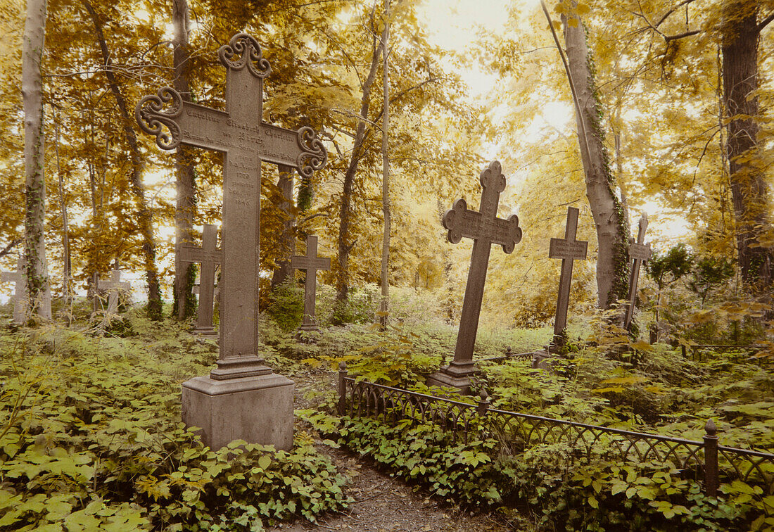 Kreuze auf einem Friedhof, Lindow, Ostprignitz-Ruppin, Brandenburg, Deutschland, Europa