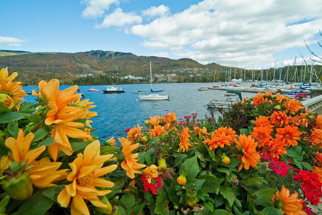 The Marina at Lac Tremblant