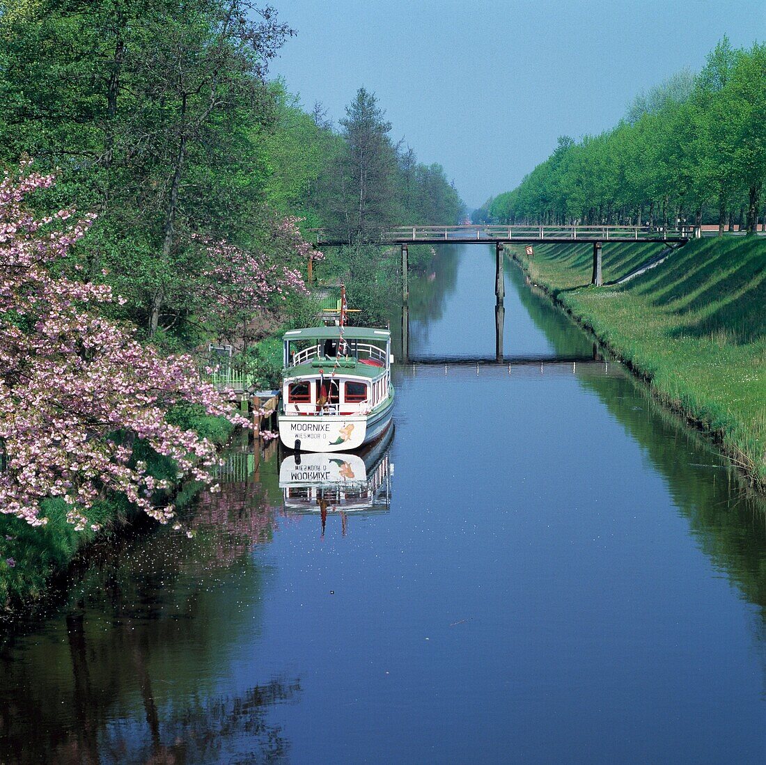 D-Wiesmoor, Ostfriesland, Niedersachsen, Flusslandschaft, Kanal, Nordgeorgsfehnkanal, Ausflugsschiff Moornixe, Fruehlingsbluete, Fussgaengerbruecke, Holzbruecke, D-Wiesmoor, East Frisia, Eastern Frisia, Lower Saxony, river landscape, canal, Nordgeorgsfehn