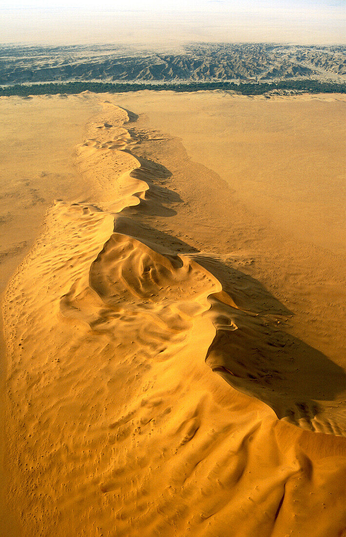 Namibia - The green belt of the dry Kuiseb riverbed in the background is forming the northern boundary of the expanse of dunes of the southern Namib Desert  Aerial view  Namib-Naukluft Park, Namibia