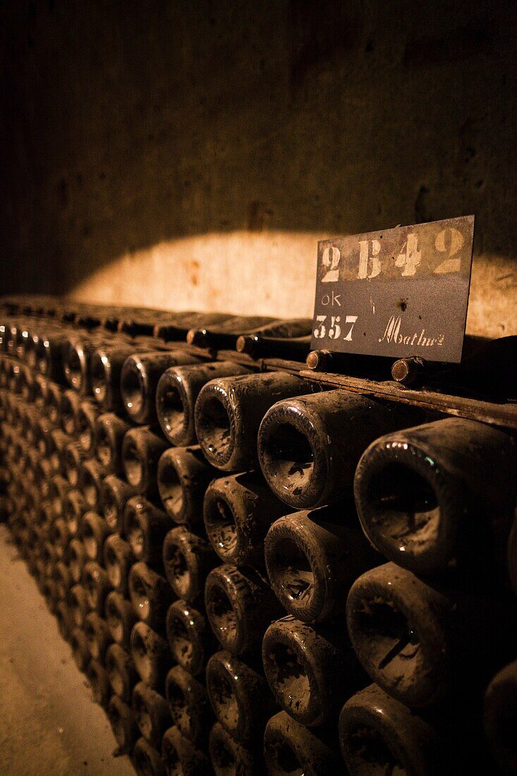 France, Marne, Champagne Ardenne, Reims, Pommery champagne winery, champagne cellars