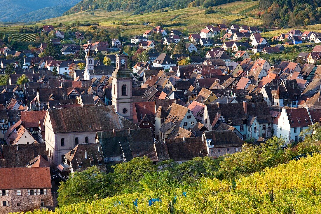 France, Haut-Rhin, Alsace Region, Alasatian Wine Route, Riquewihr, town view, dawn, autumn