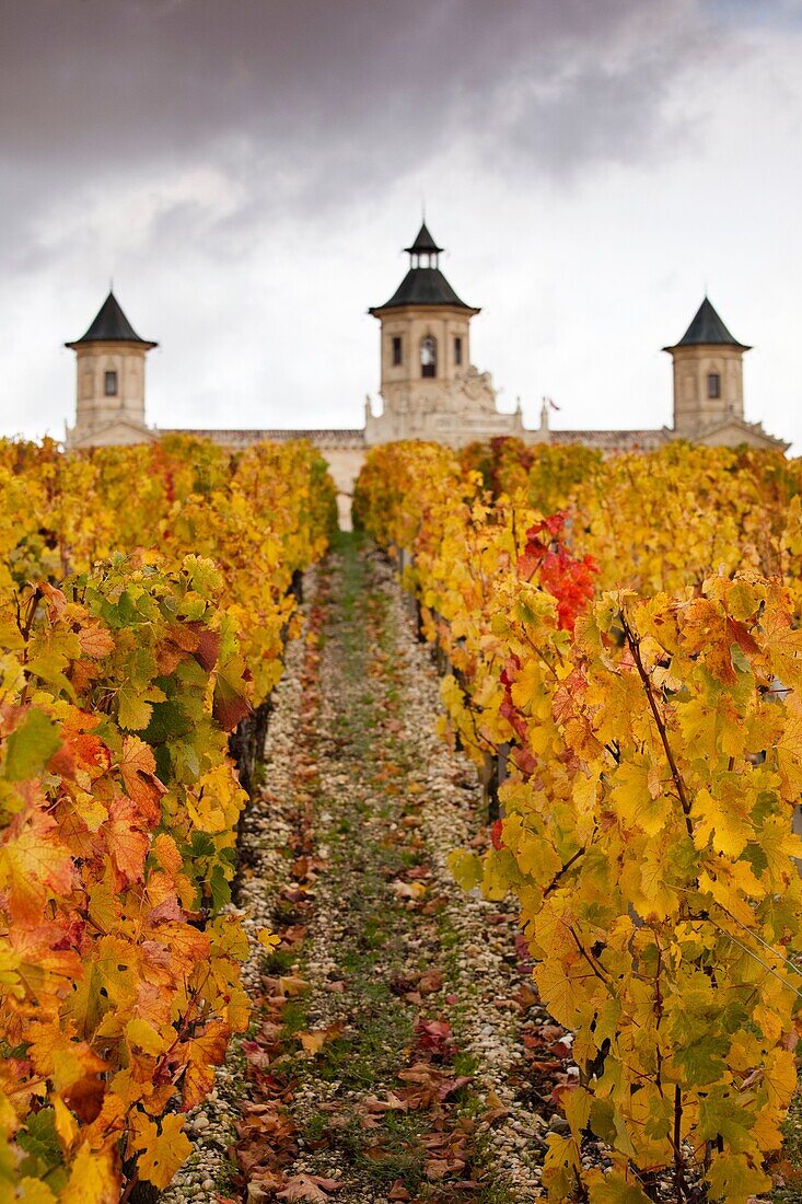 France, Aquitaine Region, Gironde Department, Haute-Medoc Area, St-Estephe, Chateau Cos d´Estournel winery