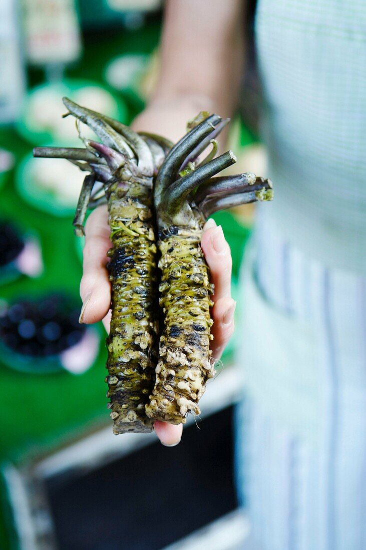 Japan, Kyoto, Nishiki market, wasabi roots.