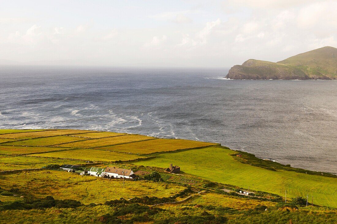 Valentia Island, Iveragh Peninsula, Ring of Kerry, Ireland
