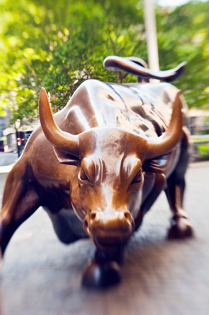Charging Bull, which is sometimes referred to as the Wall Street Bull or the Bowling Green Bull, is a 3, 200 kilograms 7, 100 lb bronze sculpture by Arturo Di Modica that stands in Bowling Green Park near Wall Street in Manhattan, New York City  Standing 
