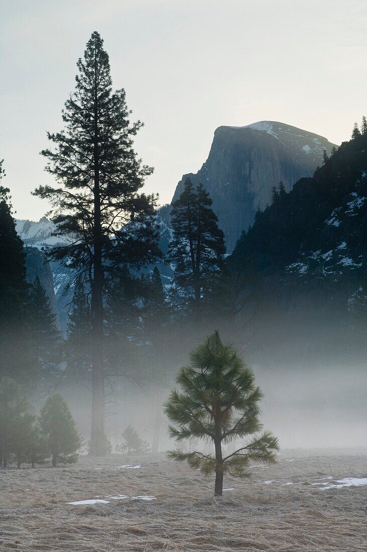 Spring sunrise light behind Half Dome, Yosemite Valley, Yosemite National Park, California