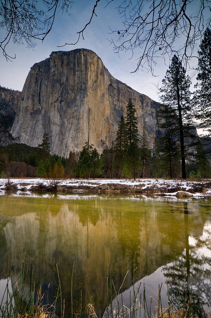 El Capitan reflected in the Merced River in Spring, Yosemite Valley, Yosemite National Park, California