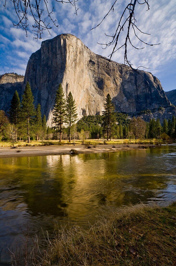 El Capitan on a Spring morning above the Merced River, Yosemite Valley, Yosemite National Park, California