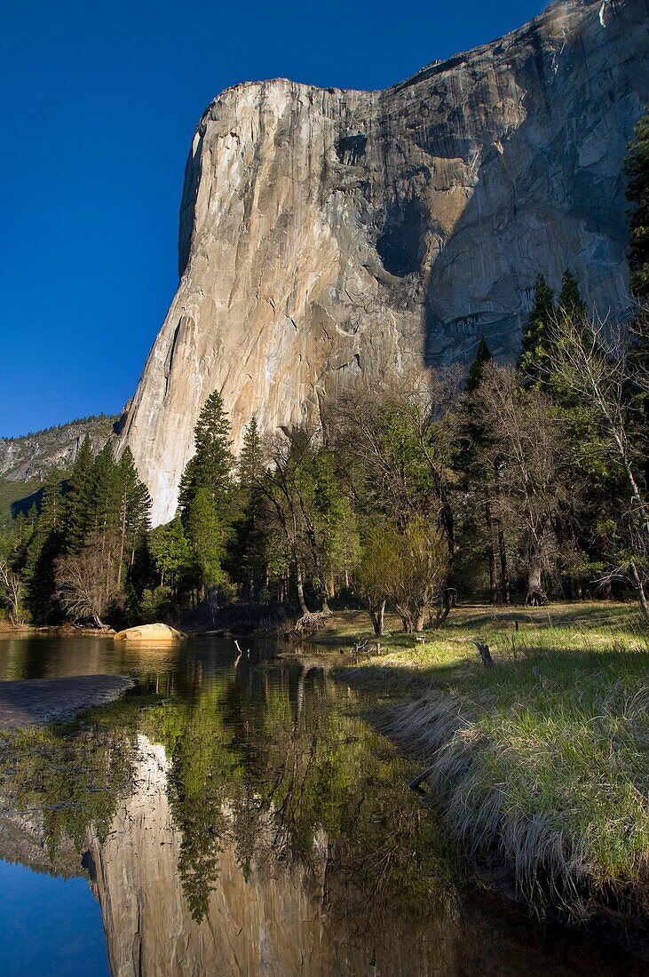 El Capitan above the Merced River, Yosemite Valley, Yosemite National Park, California