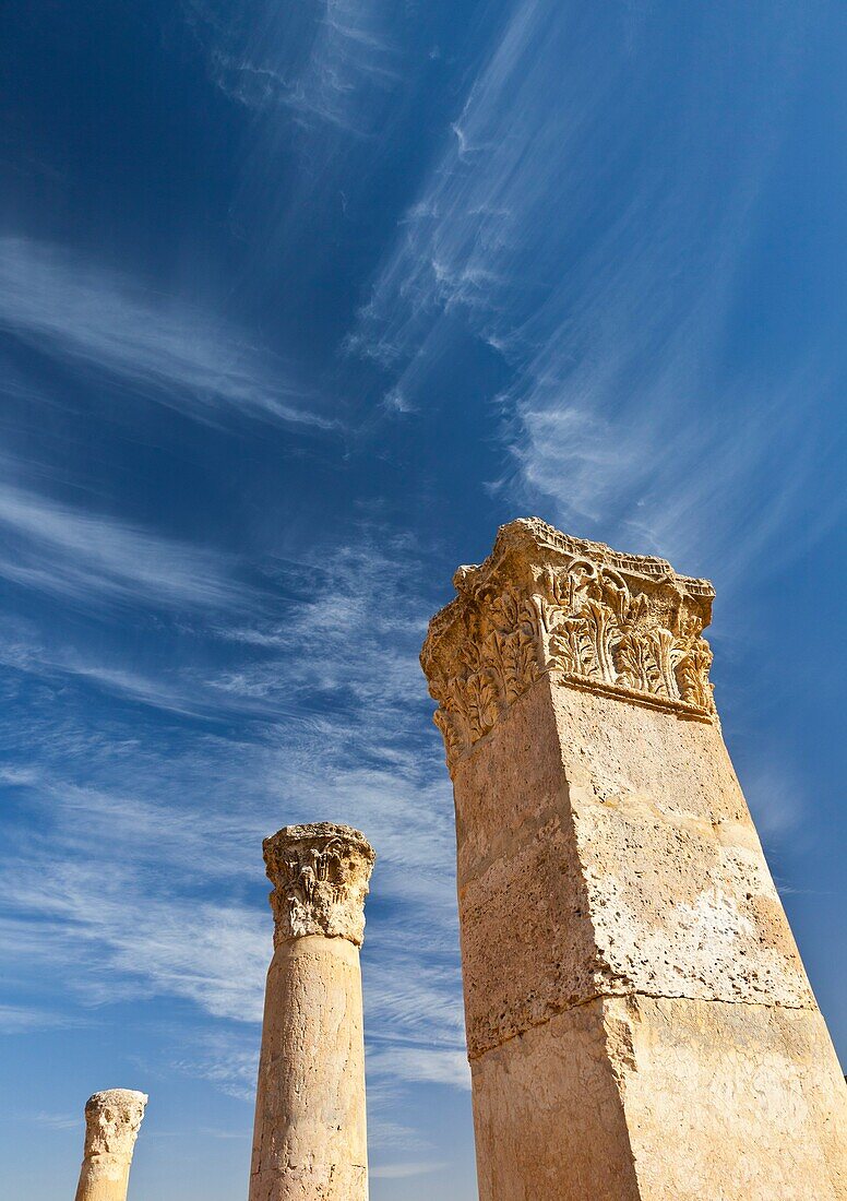 Temple of Artemisa or Diana, Greco-Roman city of Jerash, Jordan, Middle East