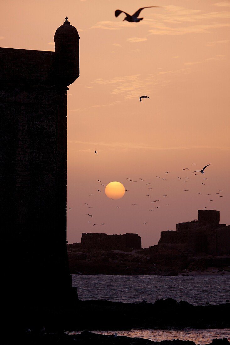 Essaouira, Marokko