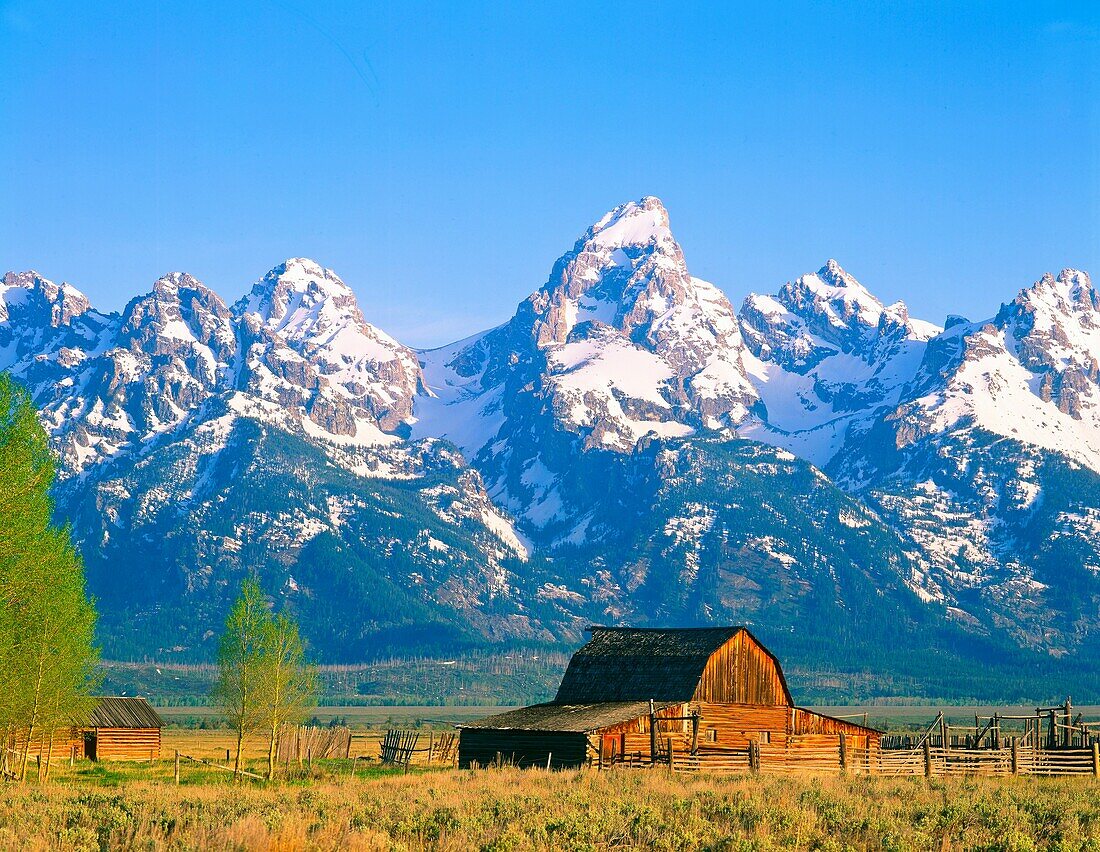 Grand Tetons and Old Homestead barn Wyoming USA