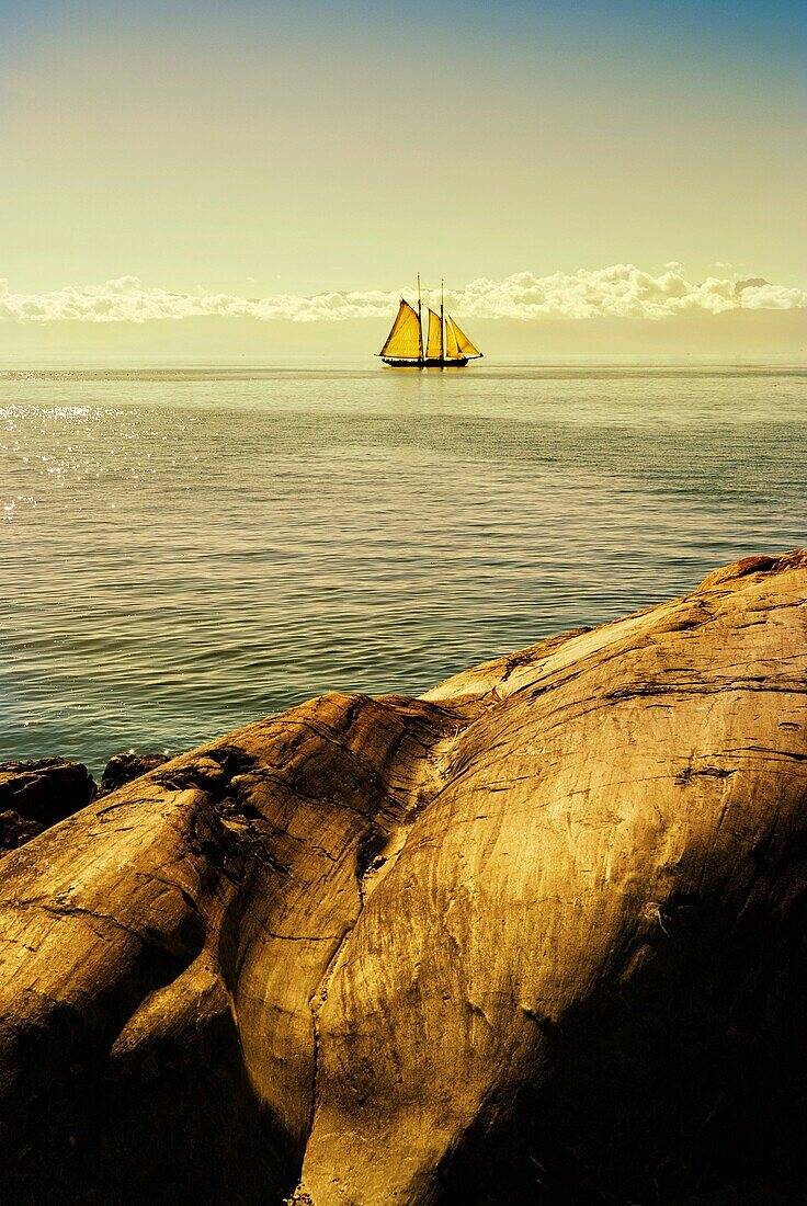 sailing ship with rocks foreground