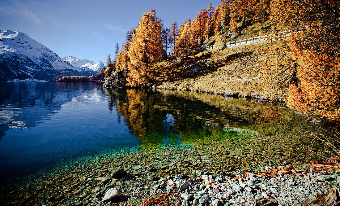 Switzerland, Europe, Engadin, Engadine, Graubünden, Grisons, autumn, mountains, Alps, alpine, lake, lake Sils, water, snow, larch, shore, wood, forest, tree, blue sky, sun, sky, scenery, alpine scenery, reflection. Switzerland, Europe, Engadin, Engadine, 