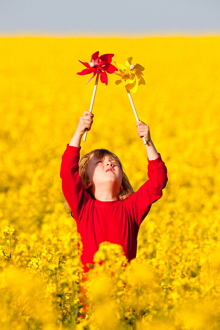 agricultural, agriculture, beautiful, blond, boy, canola, child, colourful, country, cute, field, flower, hair, kid, nature, plant, play, pinwheel, rape, red, rural, spring, springtime, summer, yellow. agricultural, agriculture, beautiful, blond, boy, can