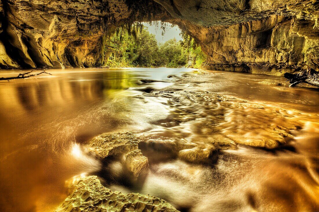 Moria Gate arch with limestone stalagtites on roof, swollen Oparara river, near Karamea, Kahurangi National Park, West Coast, New Zealand