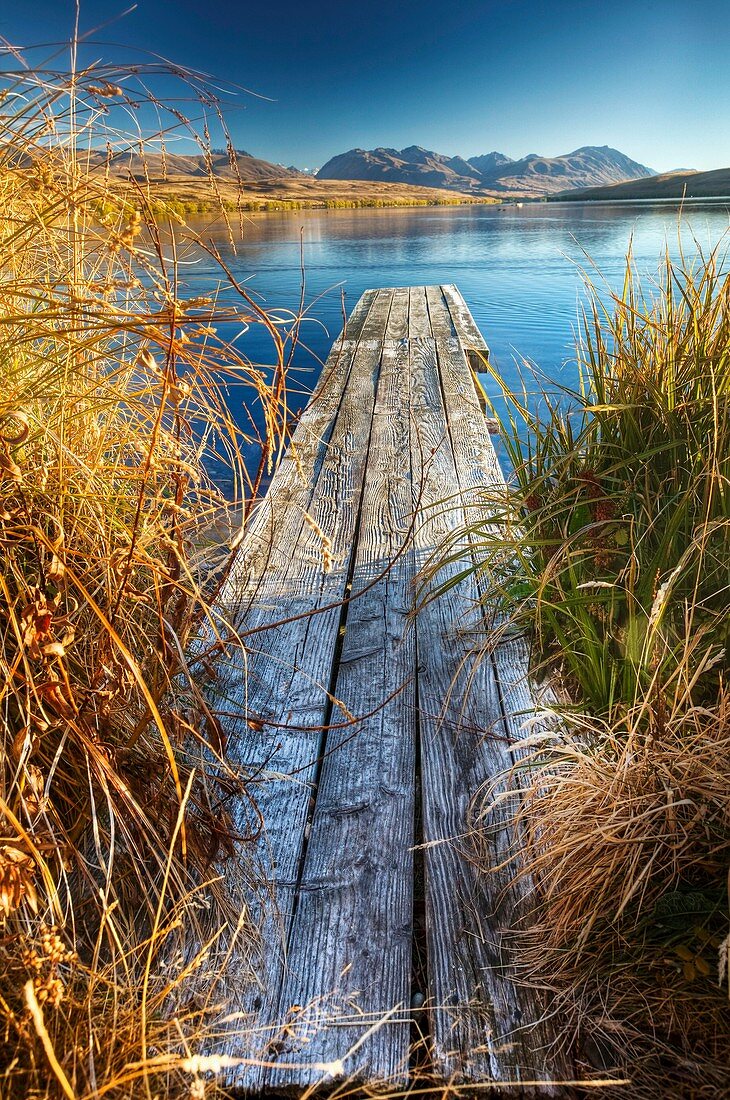 Jetty for rowing boats near baches, Lake Alexandrina Wildlife Refuge, Mackenzie country, Canterbury, New Zealand