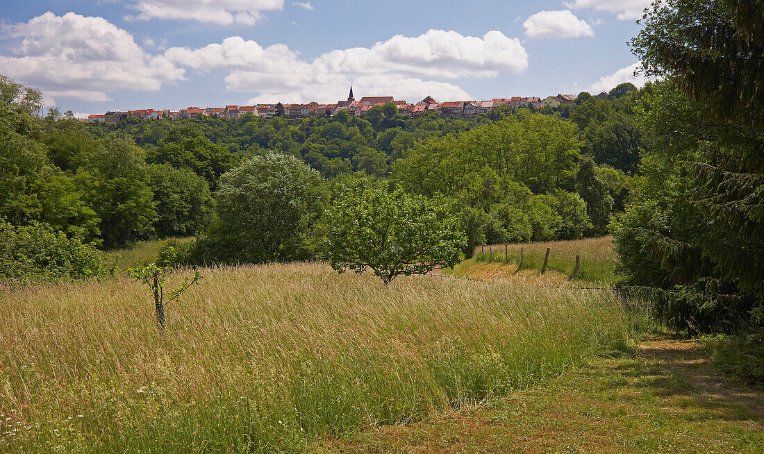 Blick auf die mittelalterliche Festung Berus auf einem Berg, Saarland, Deutschland, Europa