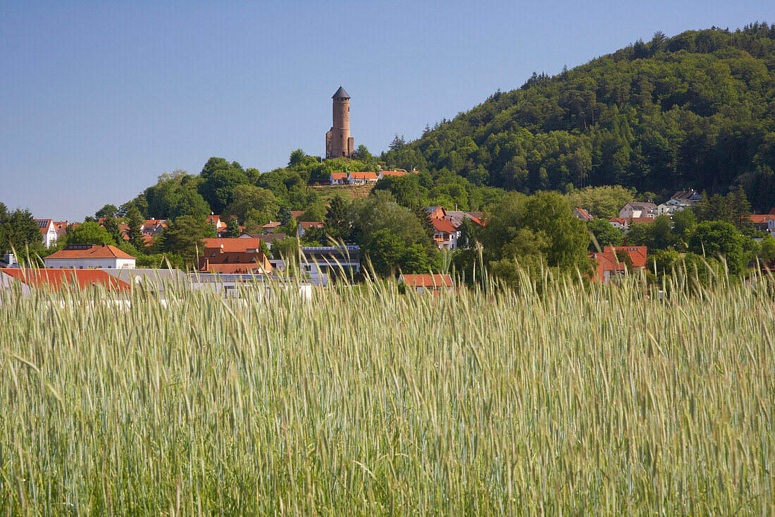 Blick über ein Feld auf die Burgruine Kirkel, Saarland, Deutschland, Europa